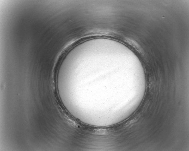 X0000068301172200605121956