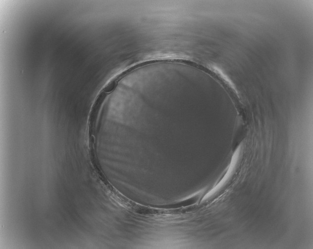 X0000068301173200605121956