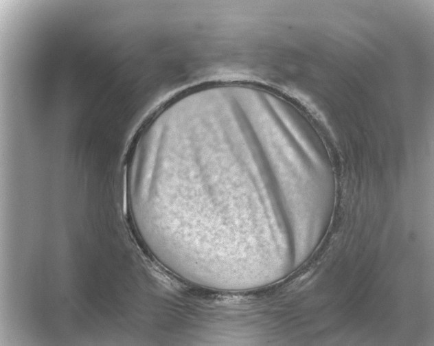 X0000068301175200605121956