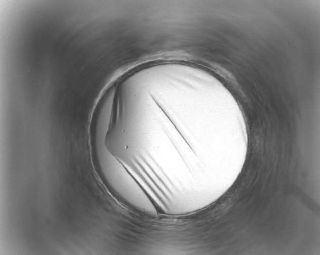 X0000068301176200605121956