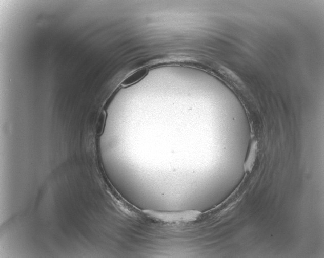 X0000068301177200605121956