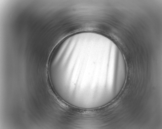 X0000068301178200605121956