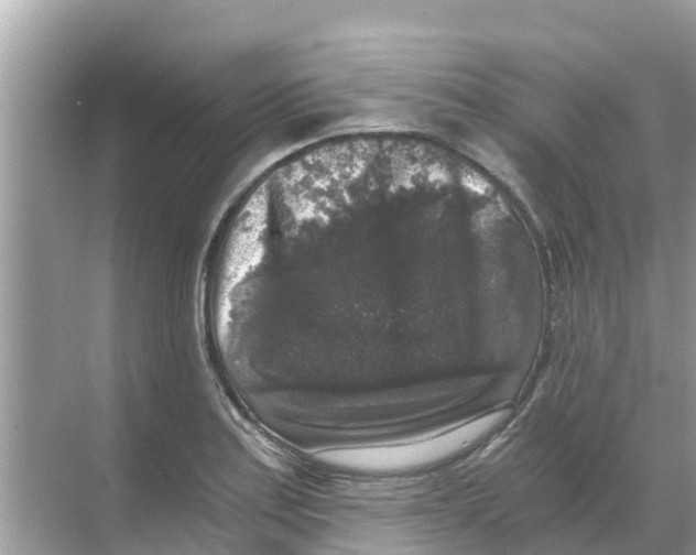 X0000068301179200605121956