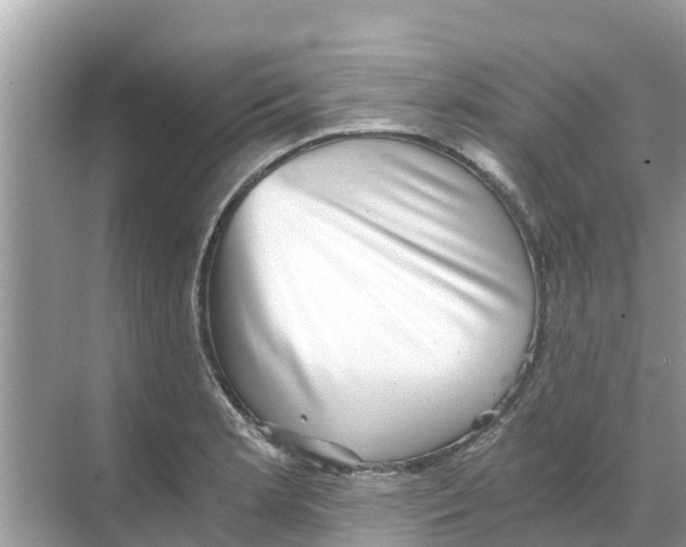 X0000068301181200605121956