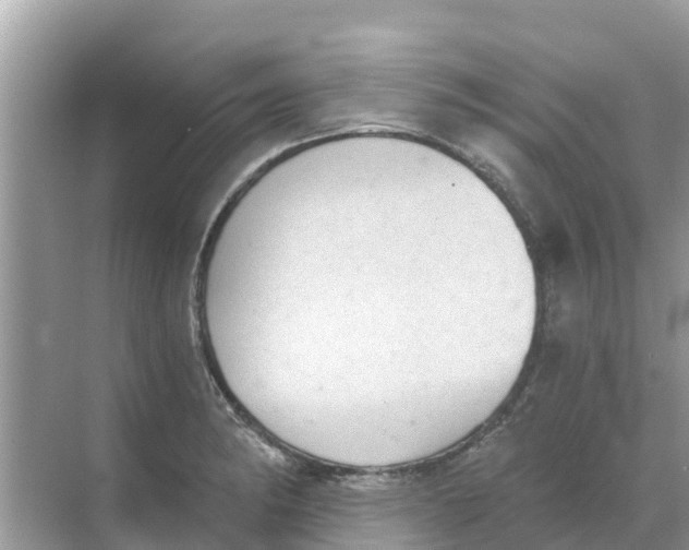 X0000068301182200605121956