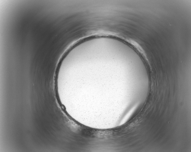 X0000068301183200605121956