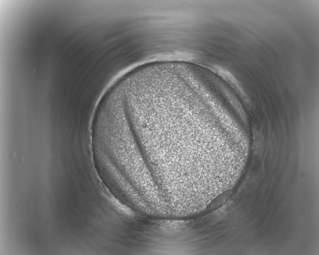 X0000068301184200605121956