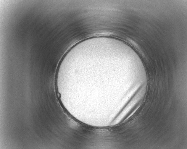 X0000068301186200605121956