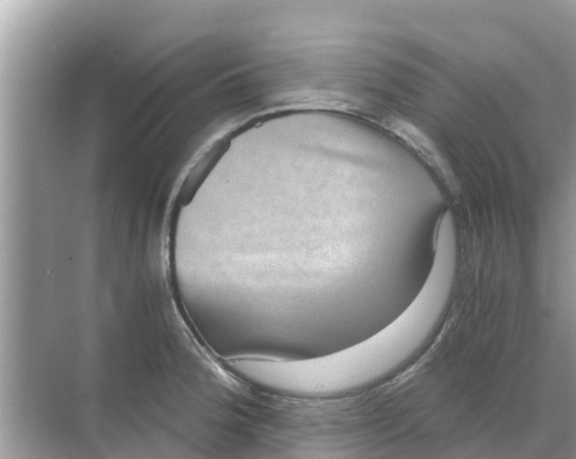 X0000068301188200605121956