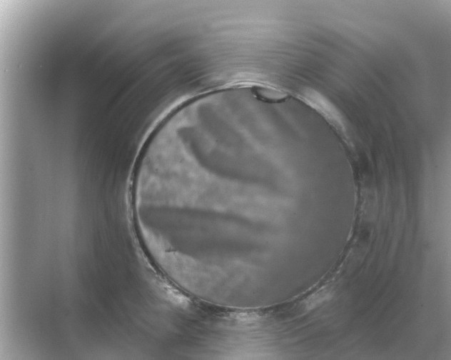 X0000068301190200605121956