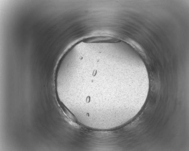 X0000068301192200605121956