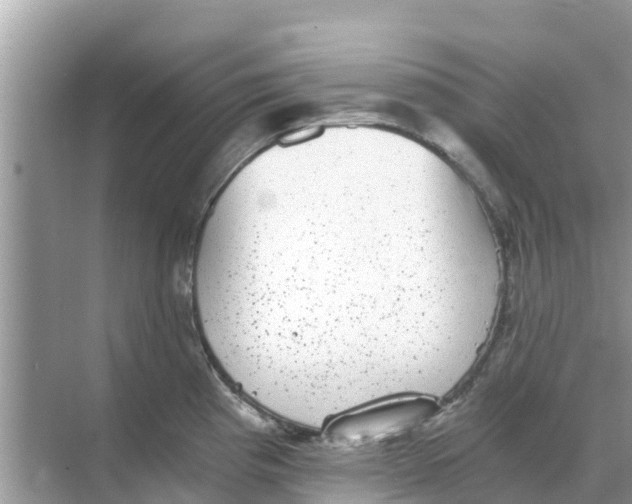 X0000068301193200605121956