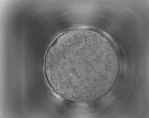 X0000068301194200605121956