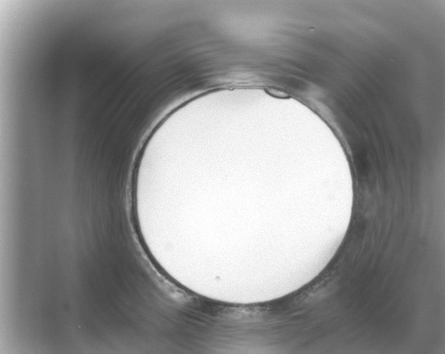 X0000068301195200605121956