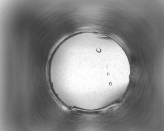 X0000068301196200605121956