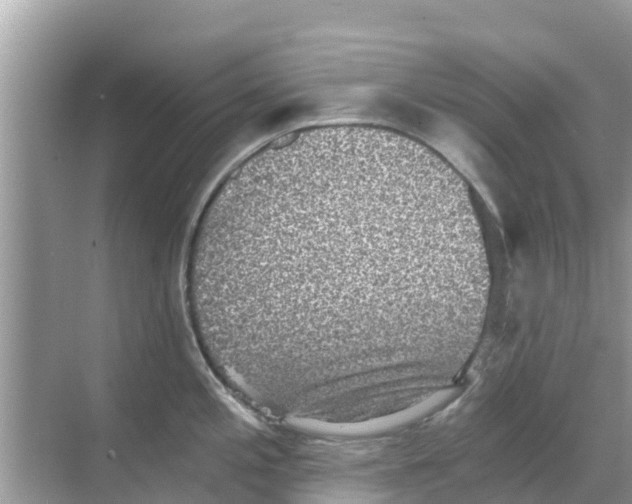 X0000068301197200605121956