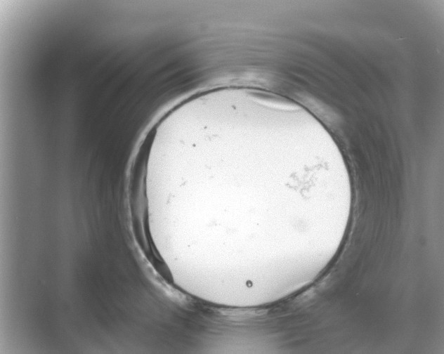 X0000068301200200605121956