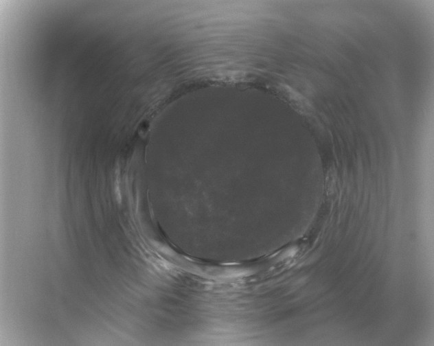 X0000068301202200605121955