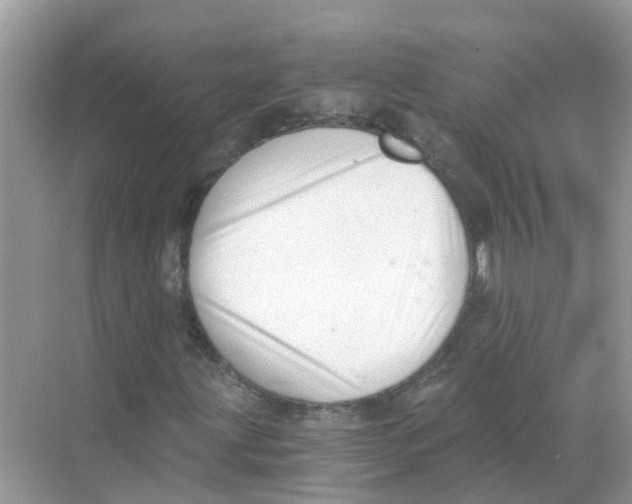 X0000068301203200605121955