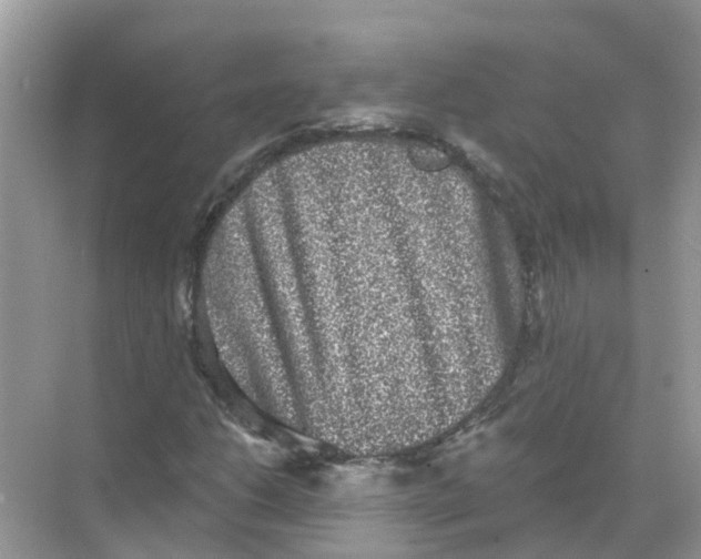 X0000068301206200605121955