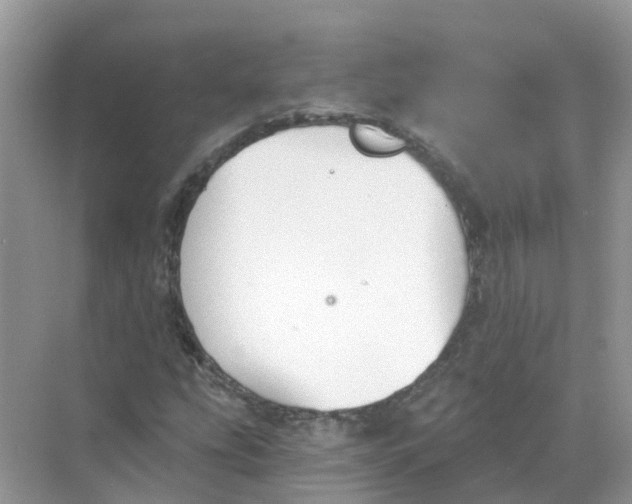 X0000068301207200605121955