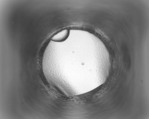 X0000068301208200605121955