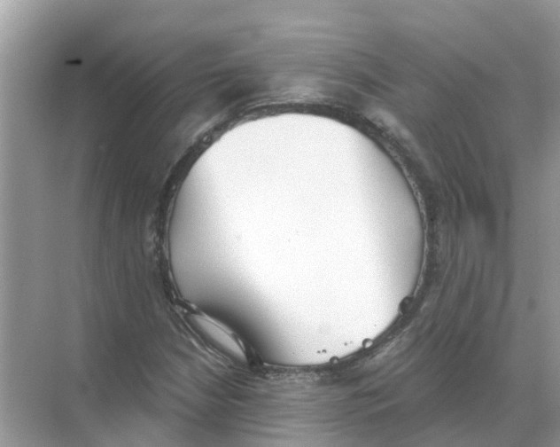 X0000068301210200605121955