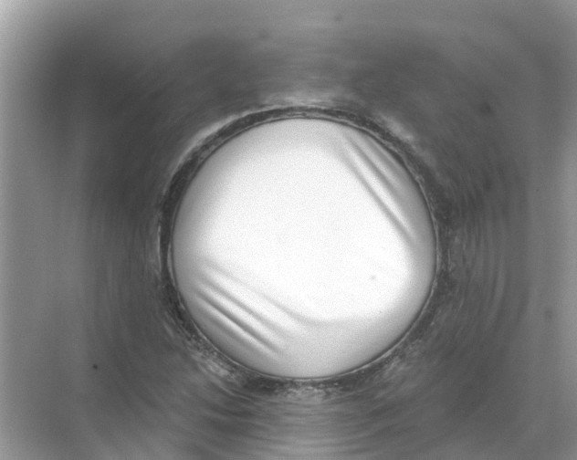 X0000068301214200605121955