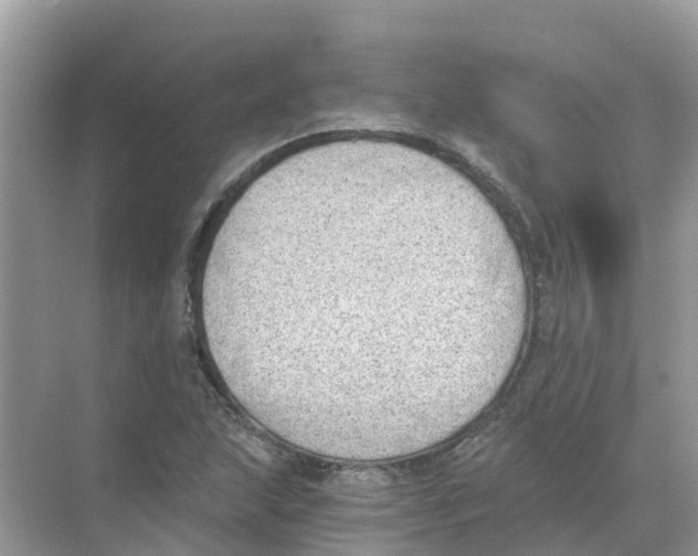 X0000068301215200605121955