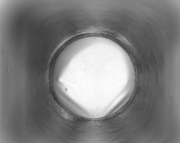 X0000068301216200605121955