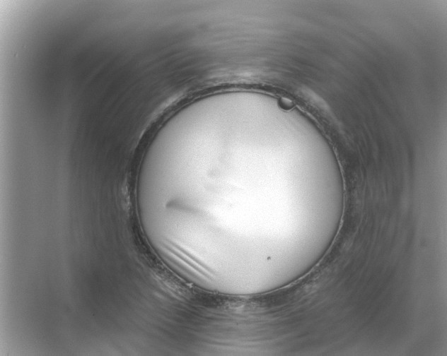 X0000068301218200605121955