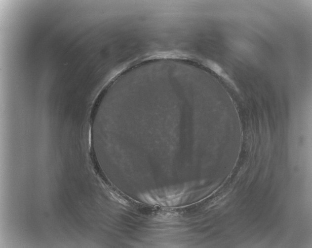 X0000068301221200605121955