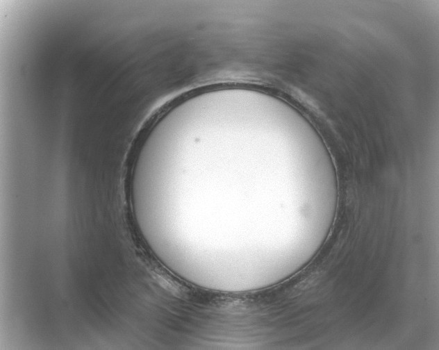 X0000068301222200605121955