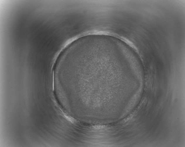 X0000068301223200605121955