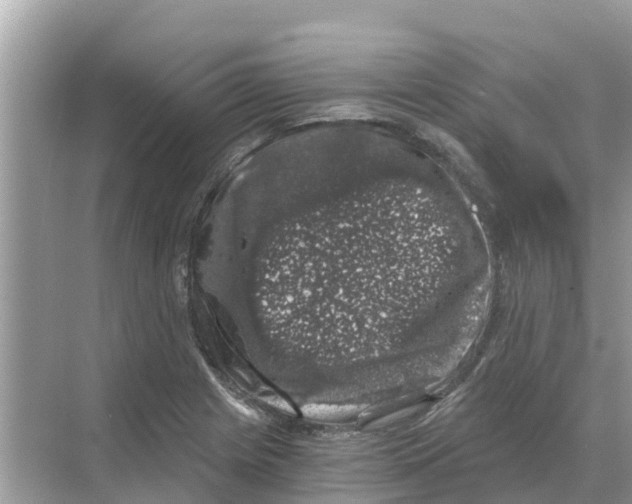 X0000068301225200605121955