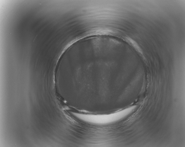 X0000068301226200605121955