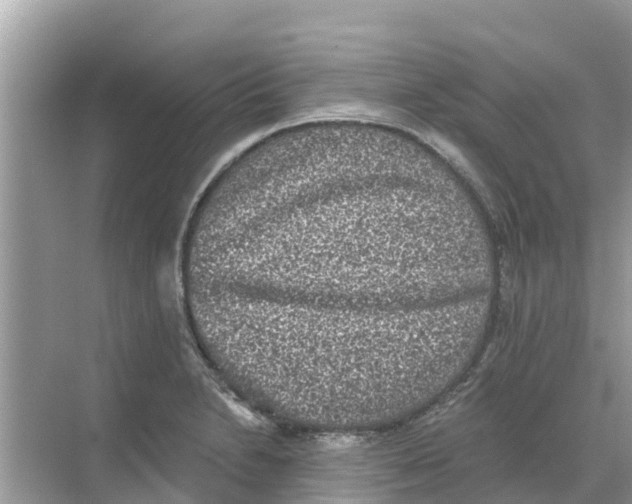 X0000068301230200605121955