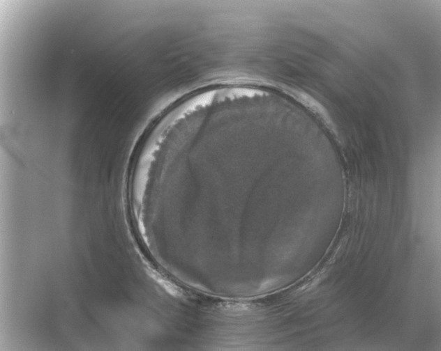 X0000068301231200605121955