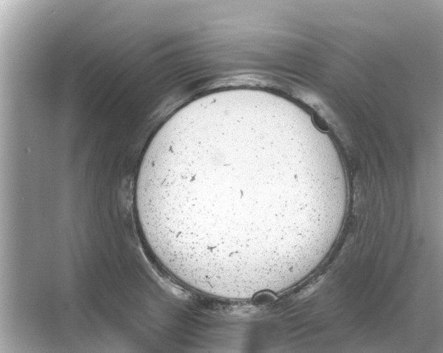 X0000068301233200605121955