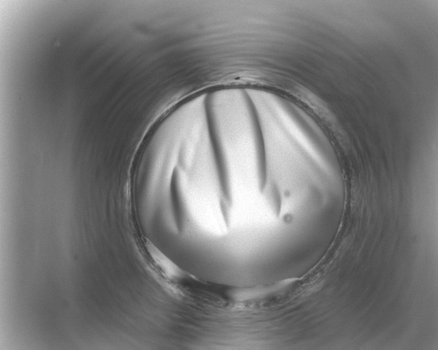 X0000068301234200605121955