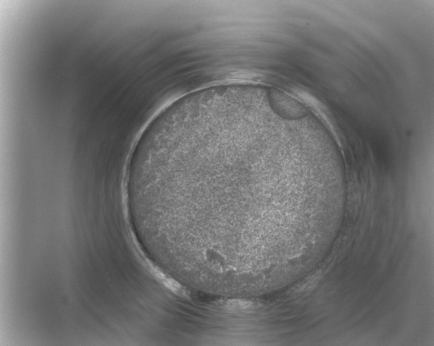 X0000068301235200605121955