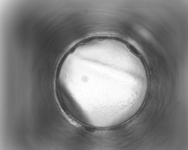 X0000068301237200605121955