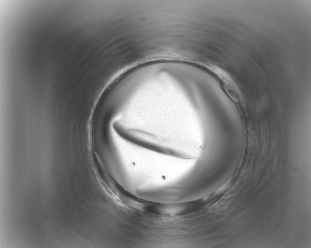 X0000068301238200605121955