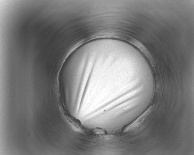 X0000068301242200605121955