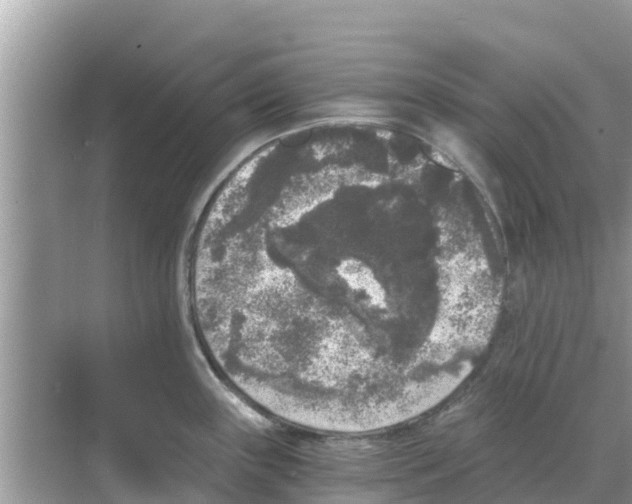 X0000068301243200605121956