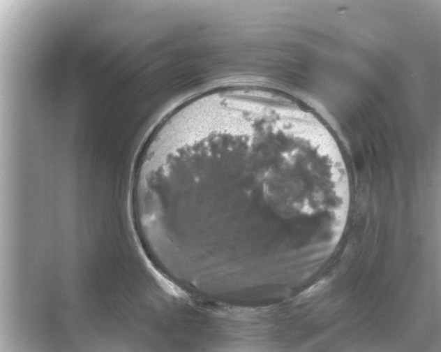 X0000068301245200605121956