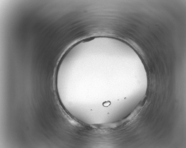 X0000068301246200605121956