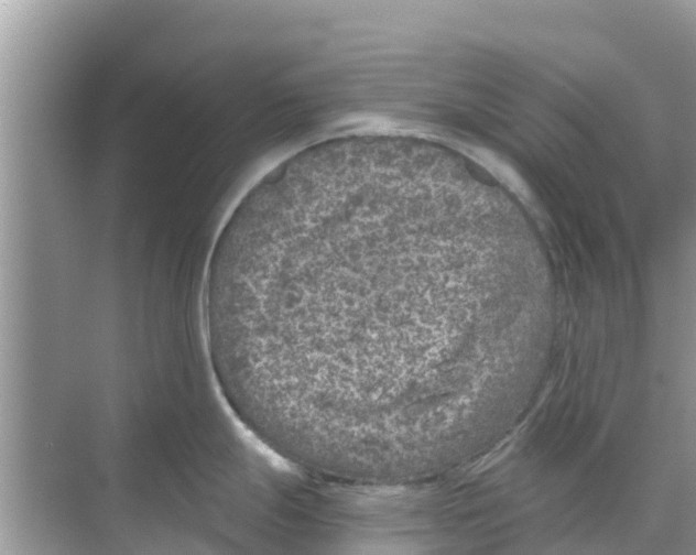 X0000068301247200605121956