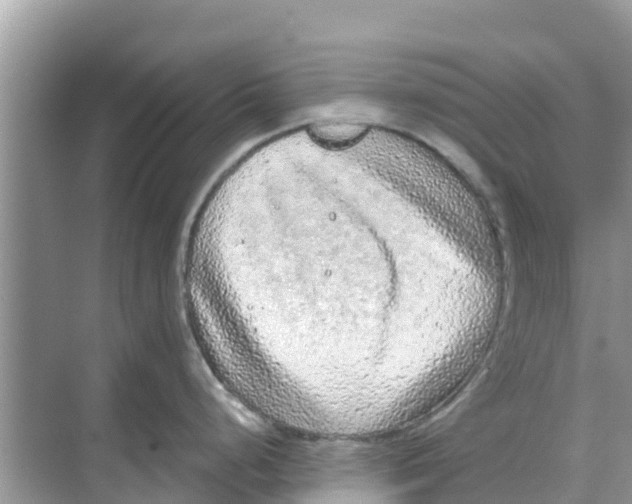 X0000068301248200605121956