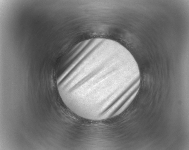 X0000068301250200605121955